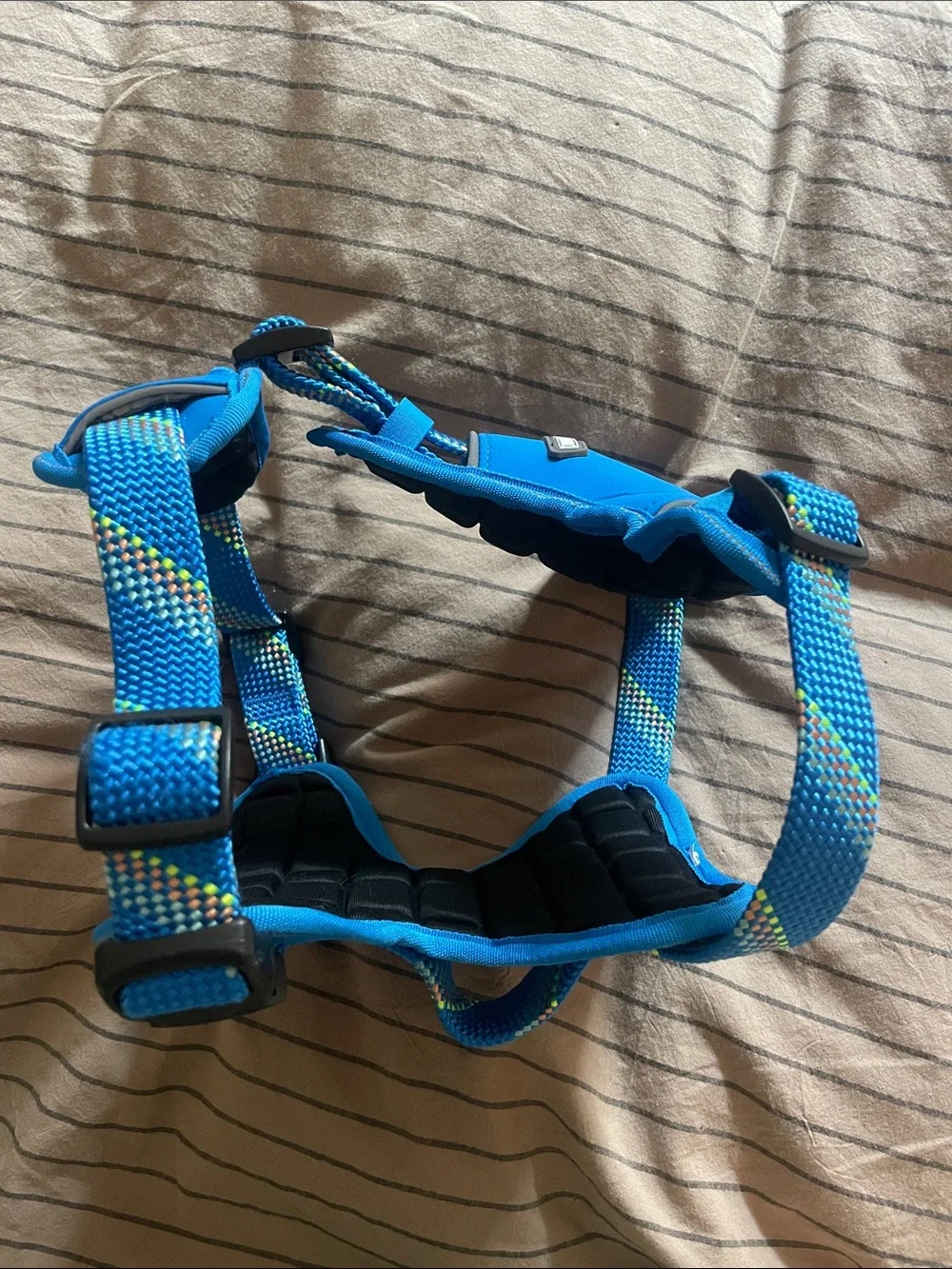 Arcadia Trail Blue Padded No-Pull Dog Harness